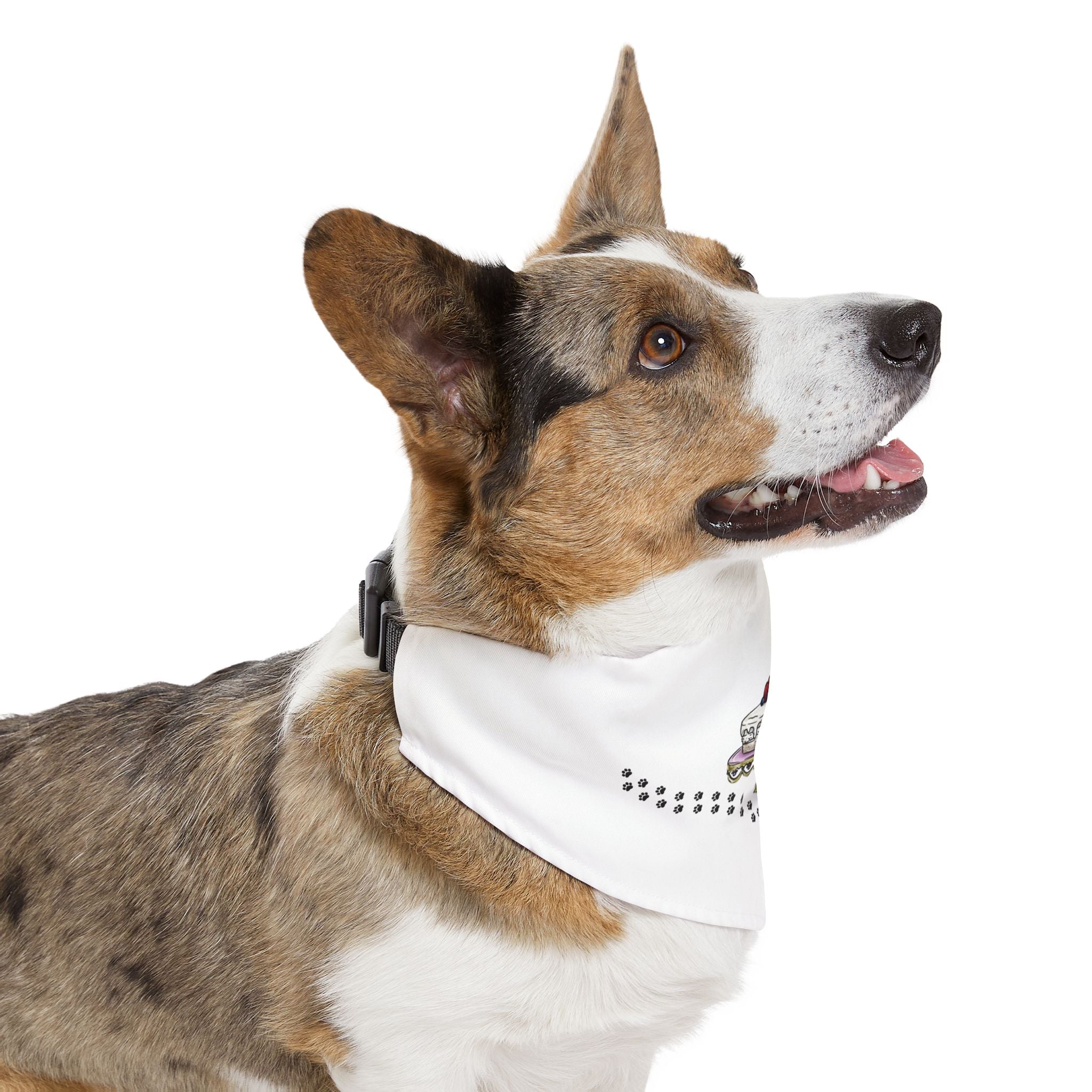 Cute Pet Bandana Collar for Dogs, Let Me Eat Cake Dog Scarf, Birthday Pet Accessory, Fun Dog Fashion, Pet Party Wear