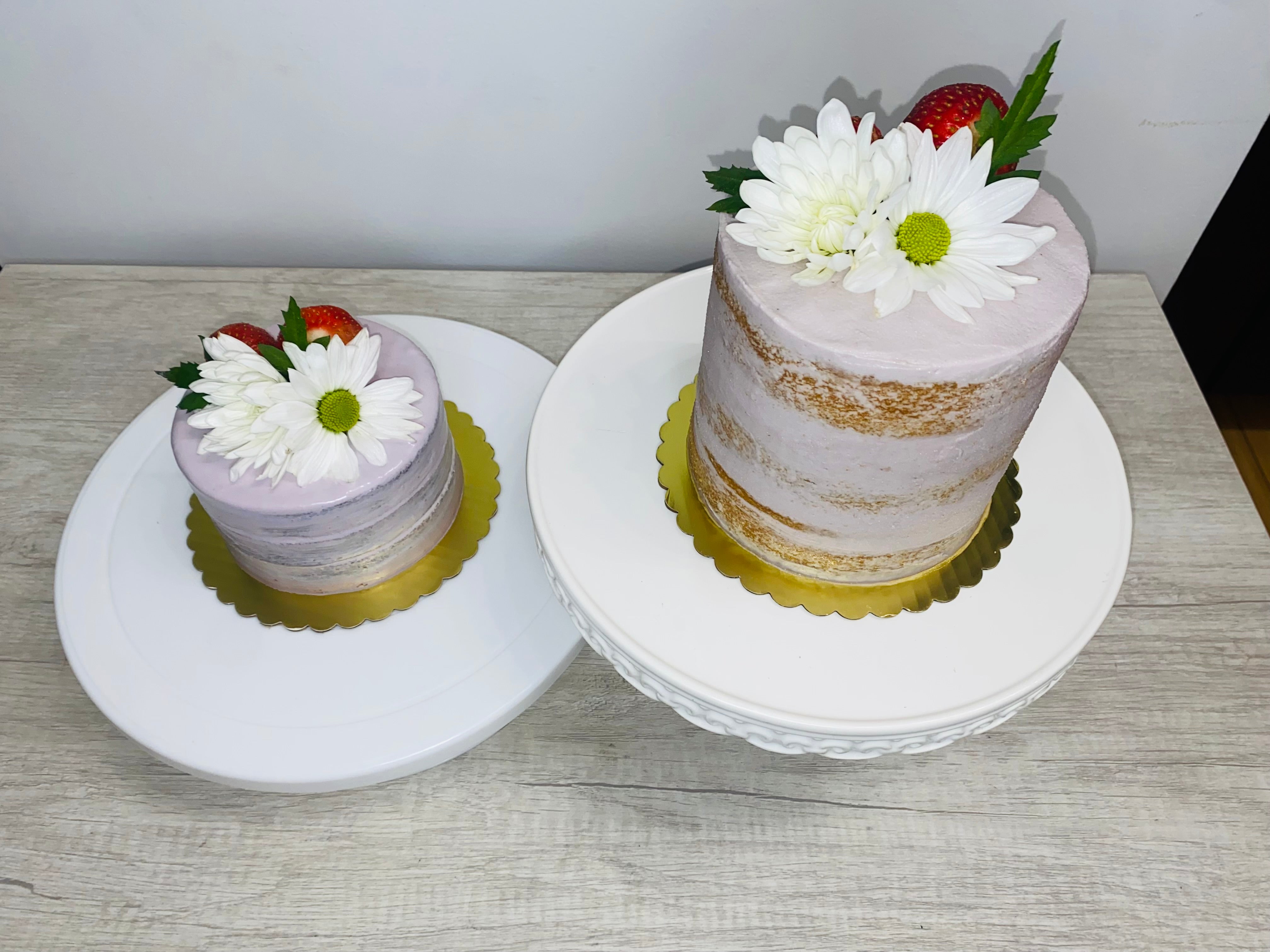 Pet and Pawrent Naked Cakes Set