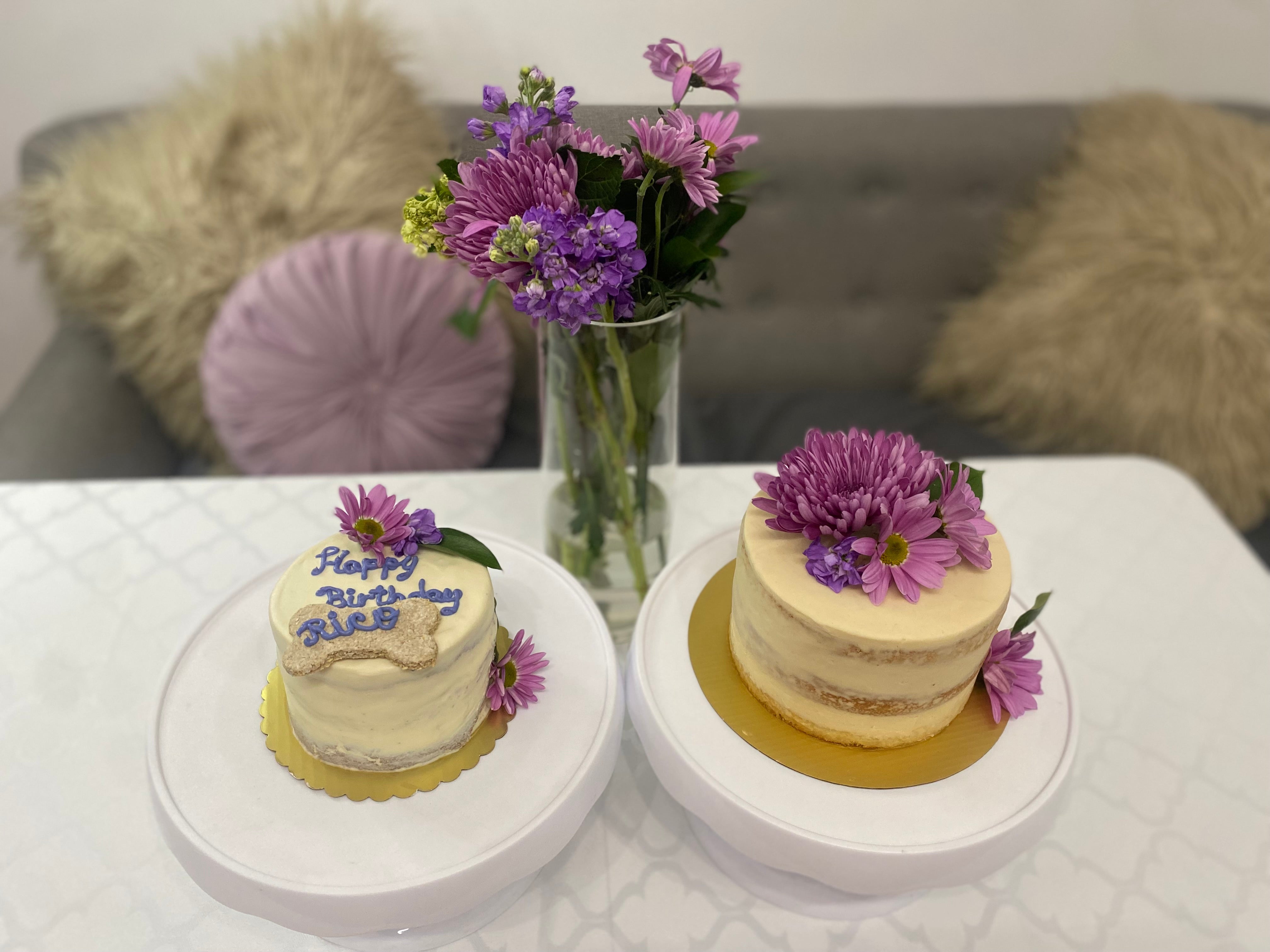 Pet and Pawrent Naked Cakes Set