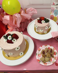 Pet and Pawrent cake set