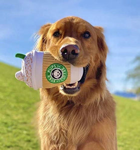 Delightful Pupaccino: Interactive Pet Toy for Hours of Tail - Wagging Fun! - CiaCia PetKery