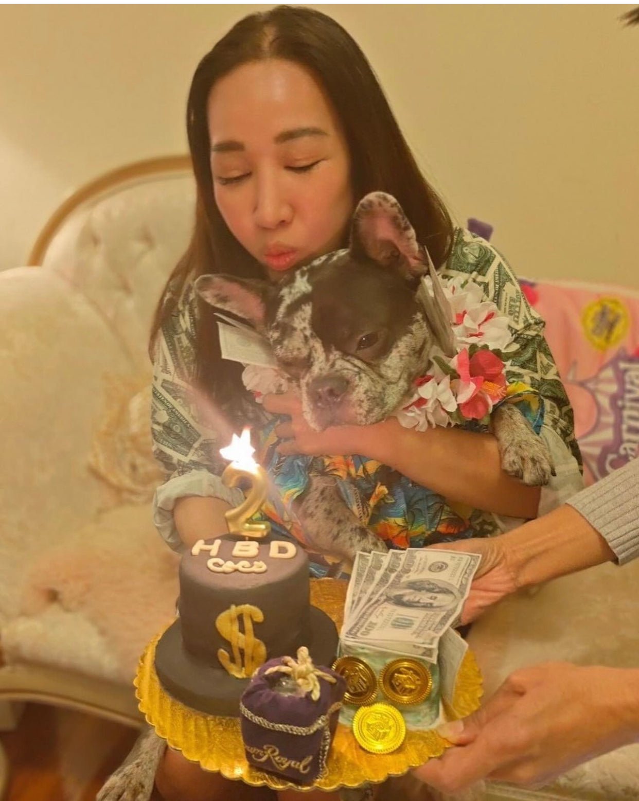 Million Dolar Pup Cake - CiaCia PetKery