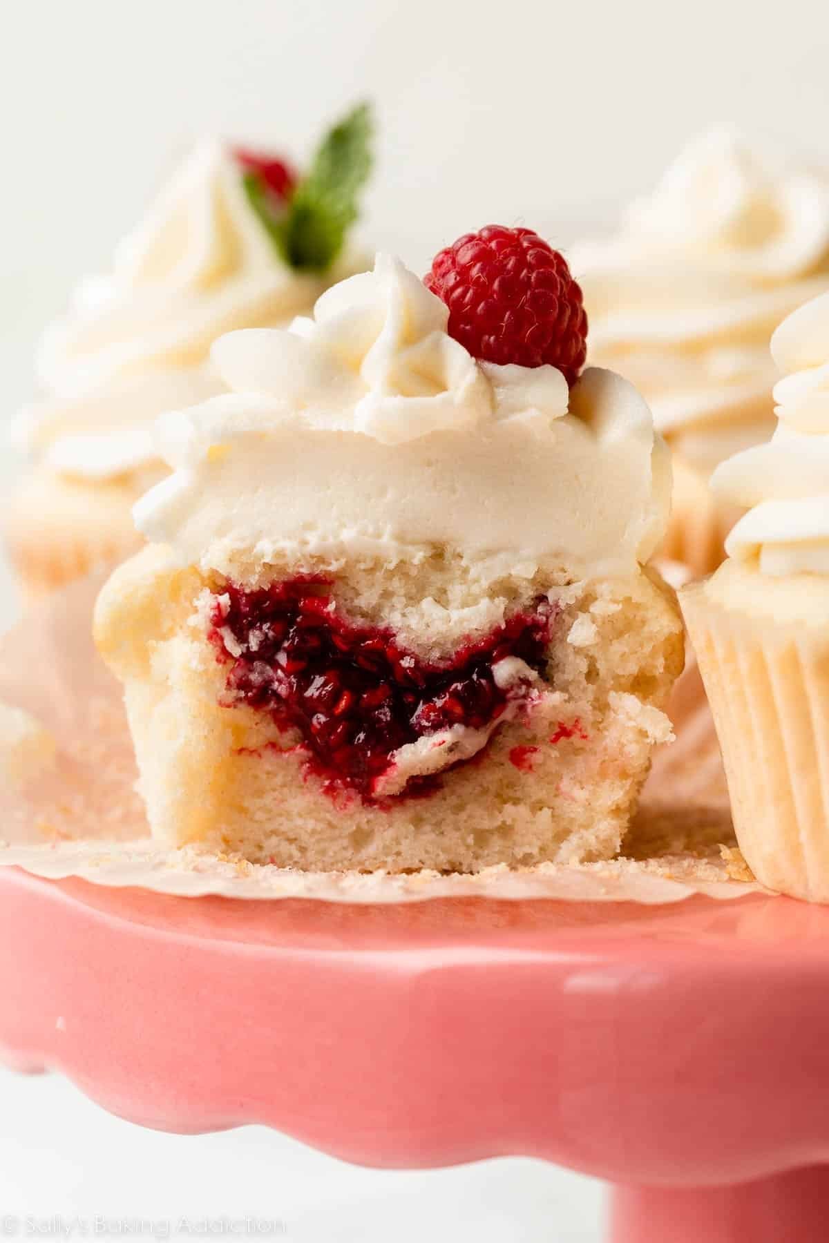 Mini Hooman Cupcakes Delights: A Symphony of Flavors in Every Bite - CiaCia PetKery