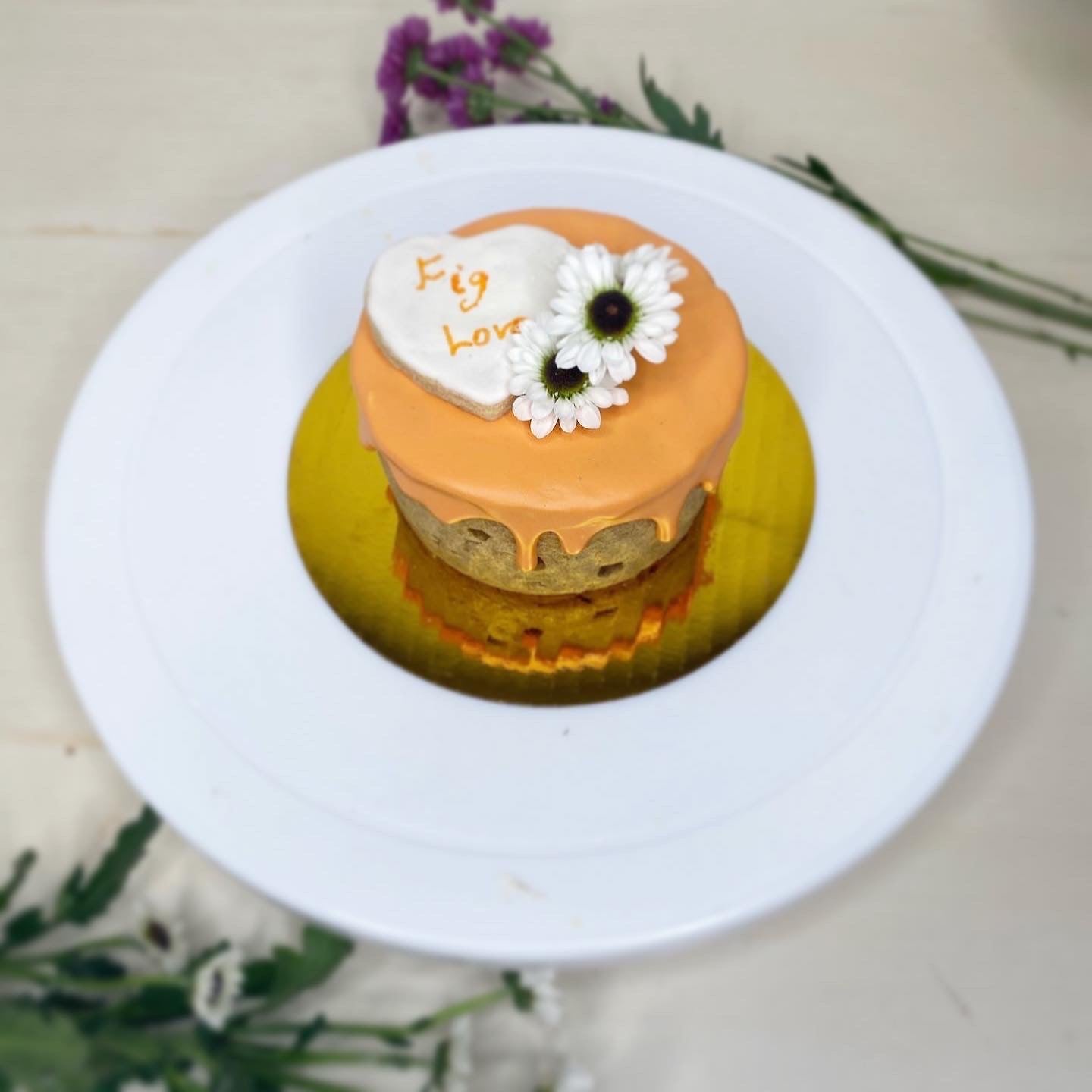 Naked Cat Cake - CiaCia PetKery