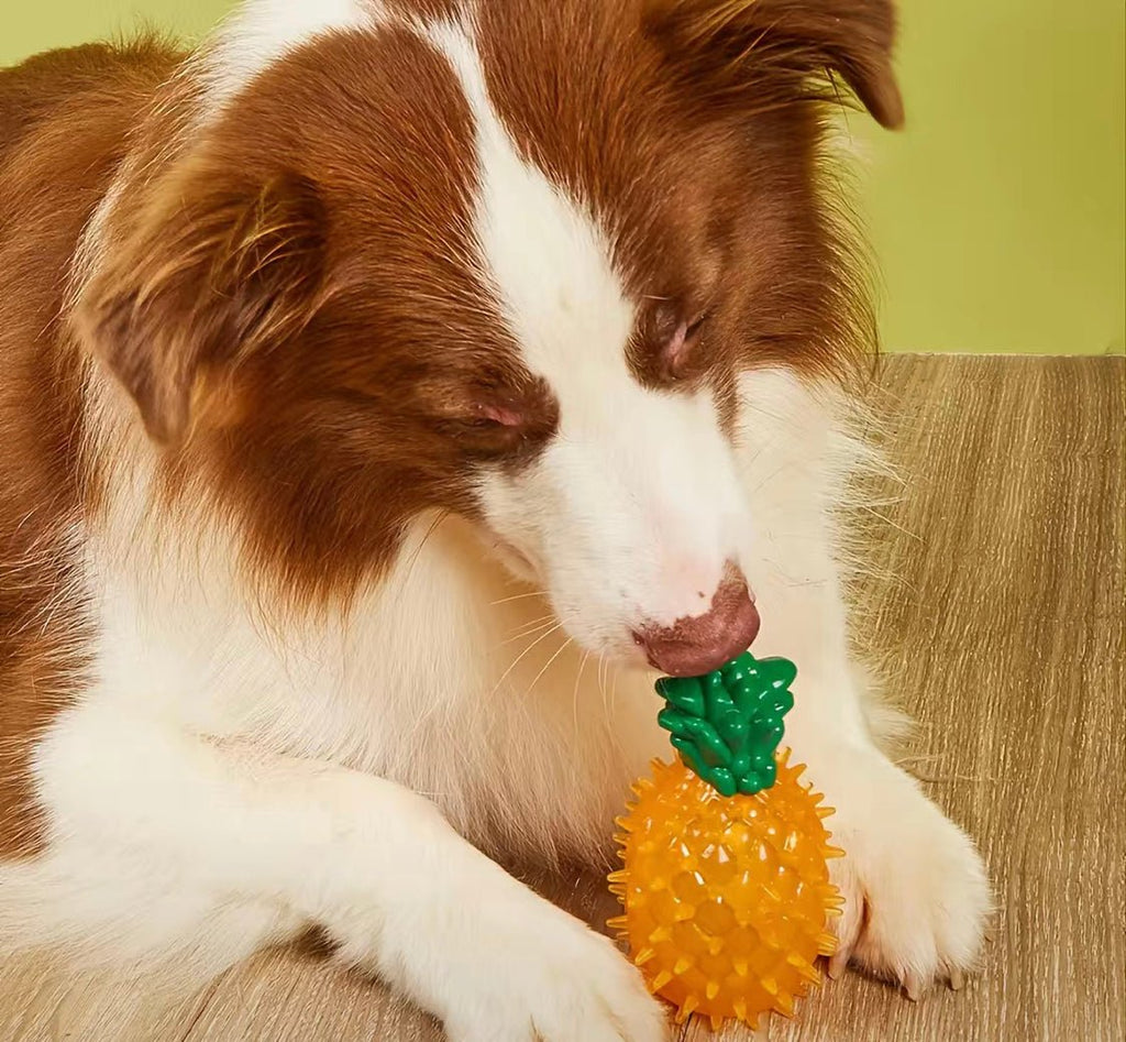 Pineapple dog toy - CiaCia PetKery