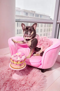 Vintage Frosting Dog Cake - CiaCia PetKery