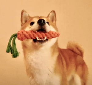 Carrot rope dog toys