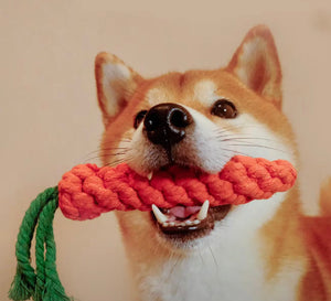 Carrot rope dog toys