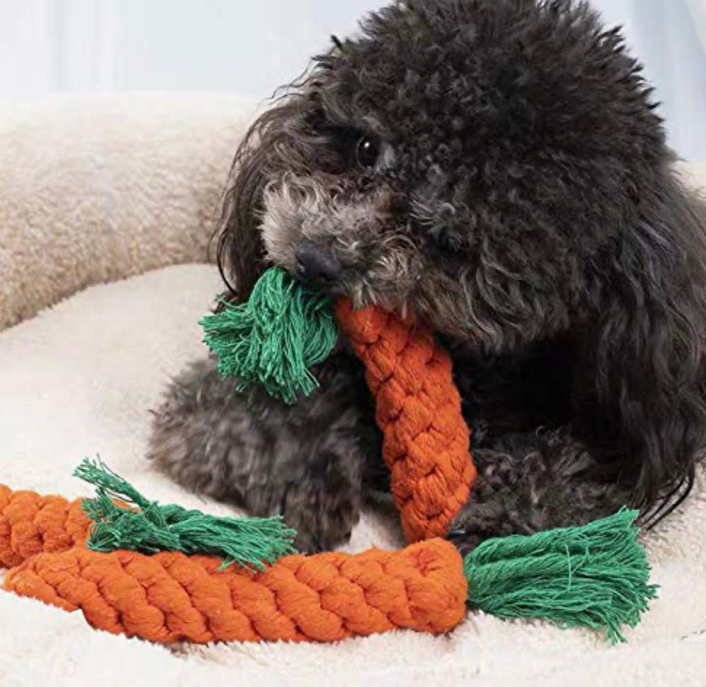 Pet Dog Toy Carrot Shape Rope Puppy Toys Teath Cleaning Outdoor Fun  Training, Size:20-23cm (xiatian)